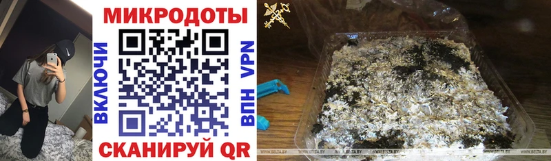 Псилоцибиновые грибы ЛСД  Чаплыгин 